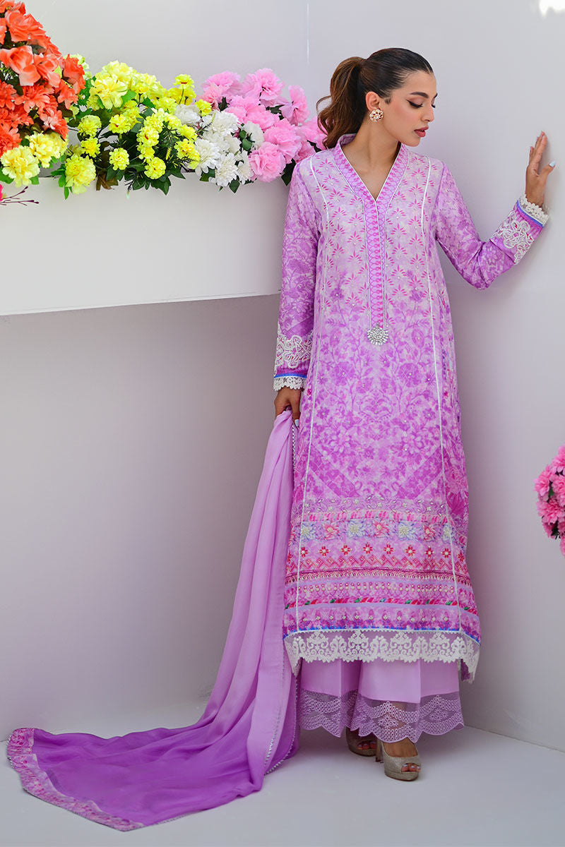 CLARA - ANSAB JAHANGIR