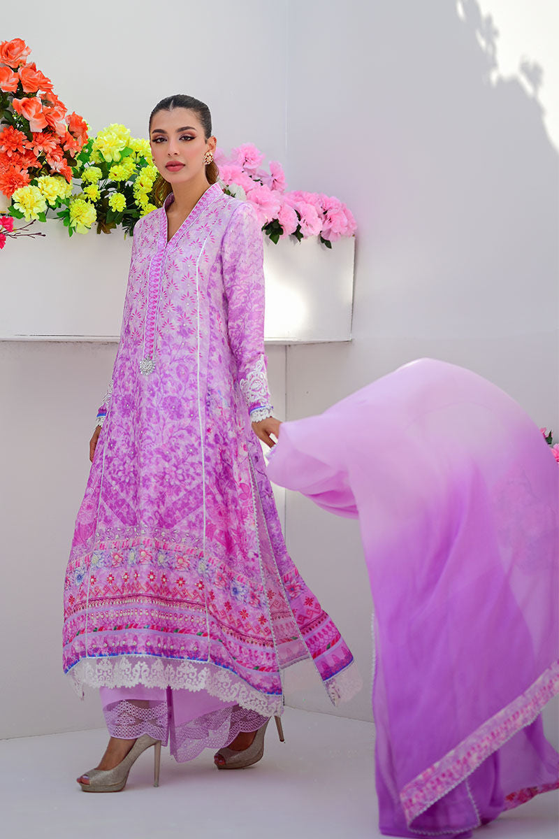 CLARA - ANSAB JAHANGIR
