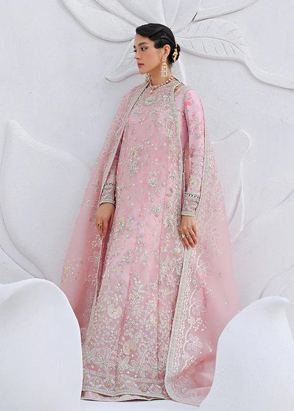 FALEK- Suffuse | RTS