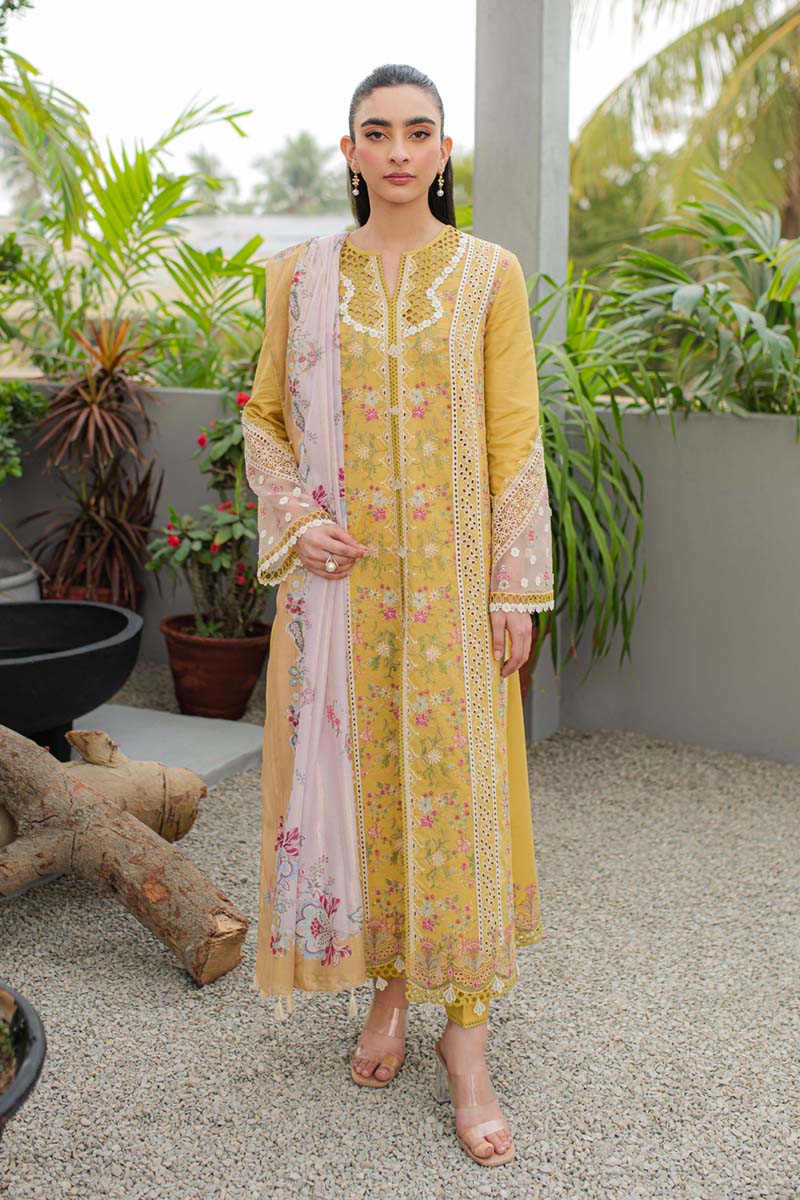 Qalamkar - Qline - Linen - 0024 - QALAMKAR