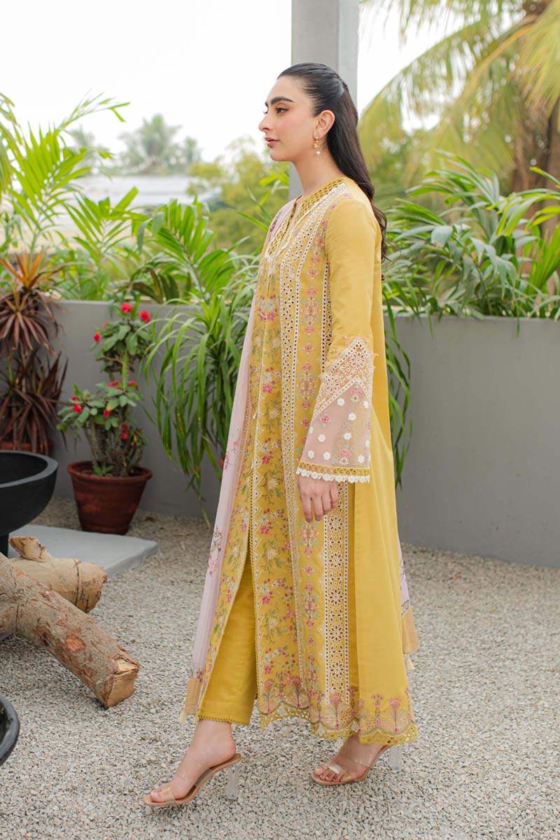 Qalamkar - Qline - Linen - 0024 - QALAMKAR