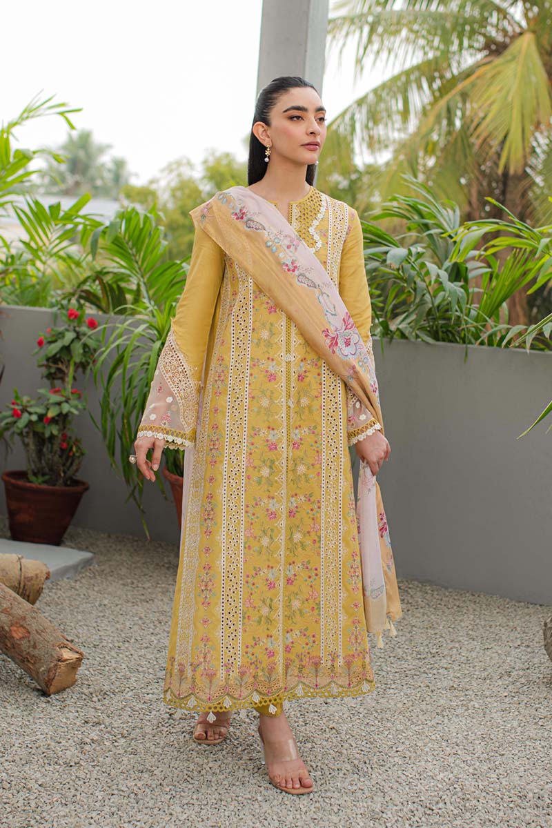 Qalamkar - Qline - Linen - 0024 - QALAMKAR