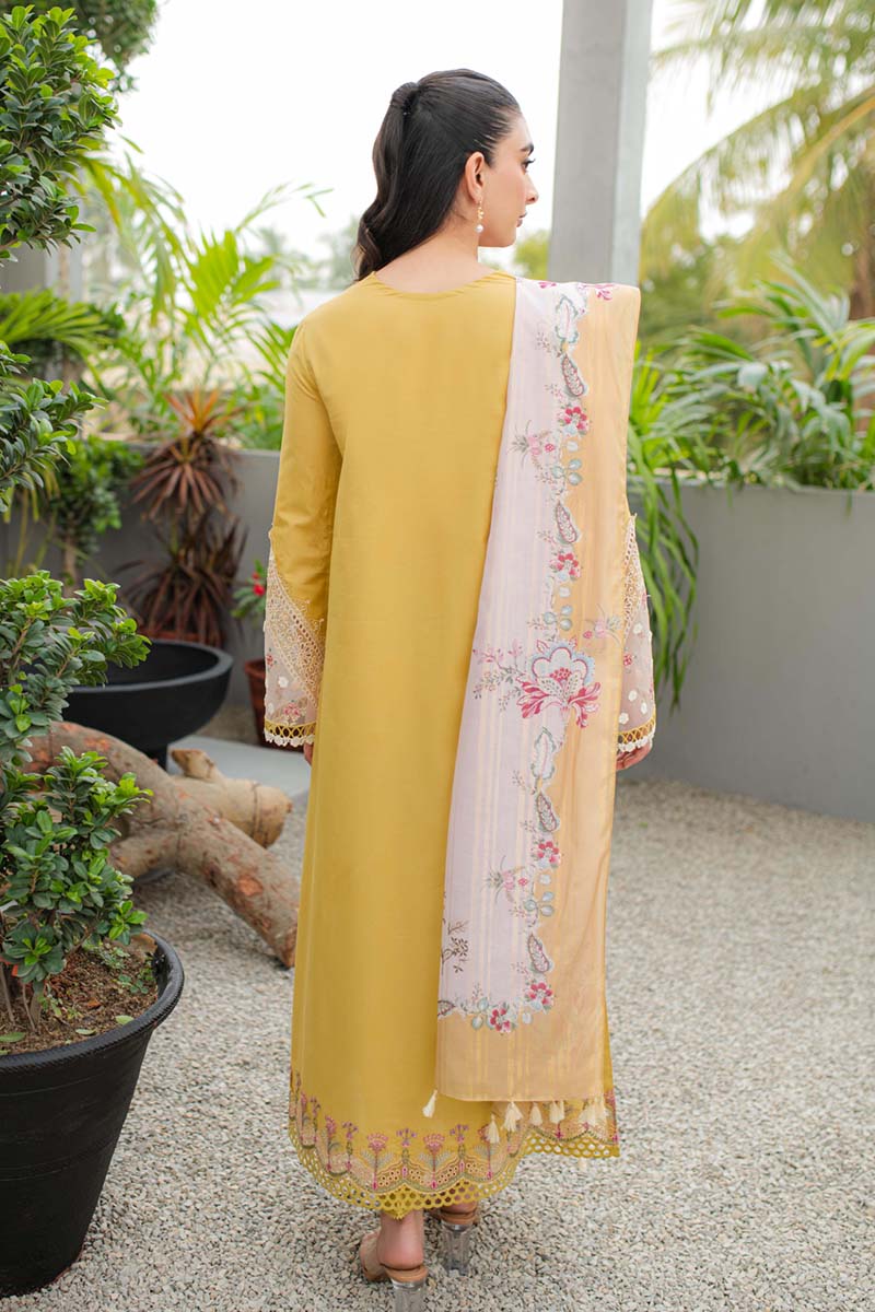 Qalamkar - Qline - Linen - 0024 - QALAMKAR