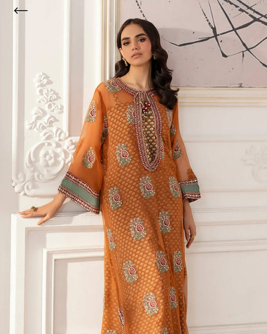 E0704/104/213 | EMBROIDERED SUIT