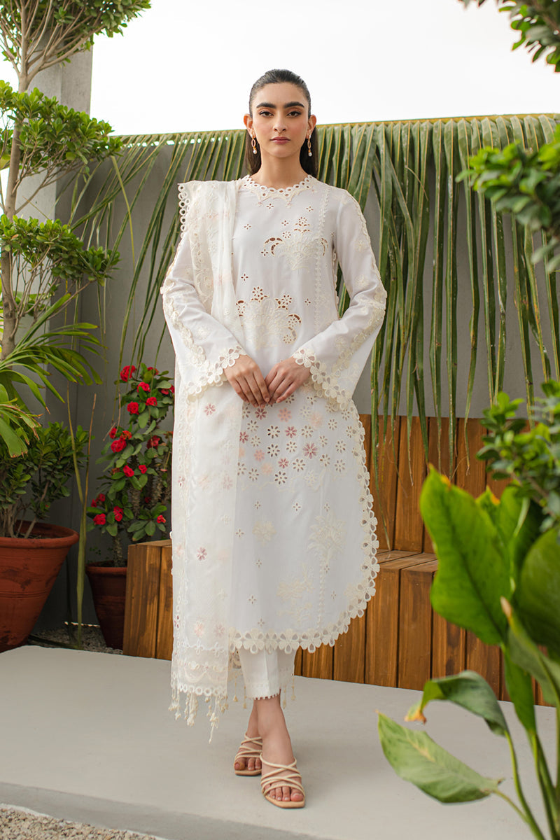 Qalamkar - Qline - Linen - 0016 - QALAMKAR