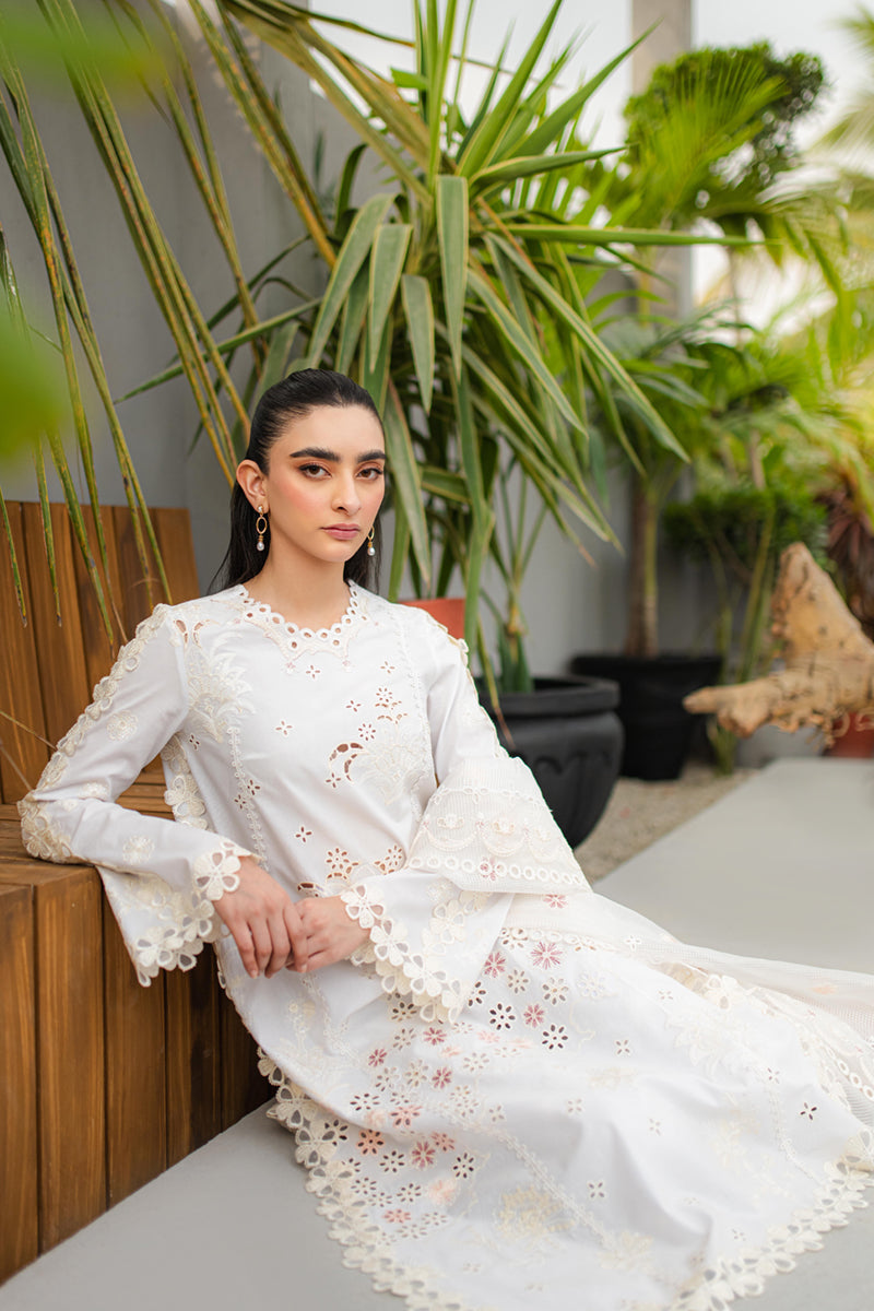 Qalamkar - Qline - Linen - 0016 - QALAMKAR