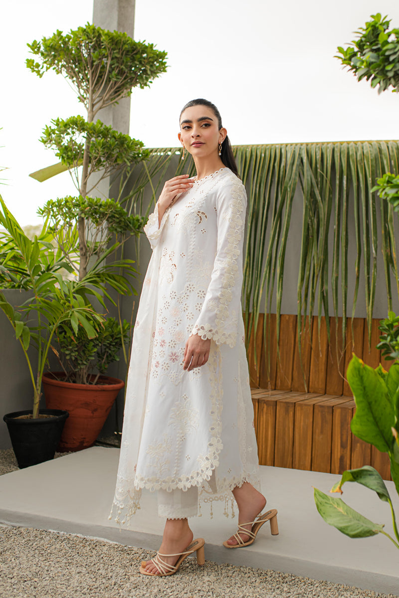 Qalamkar - Qline - Linen - 0016 - QALAMKAR