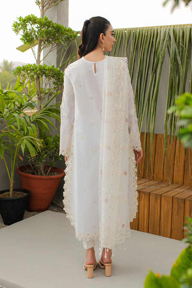 Qalamkar - Qline - Linen - 0016 - QALAMKAR