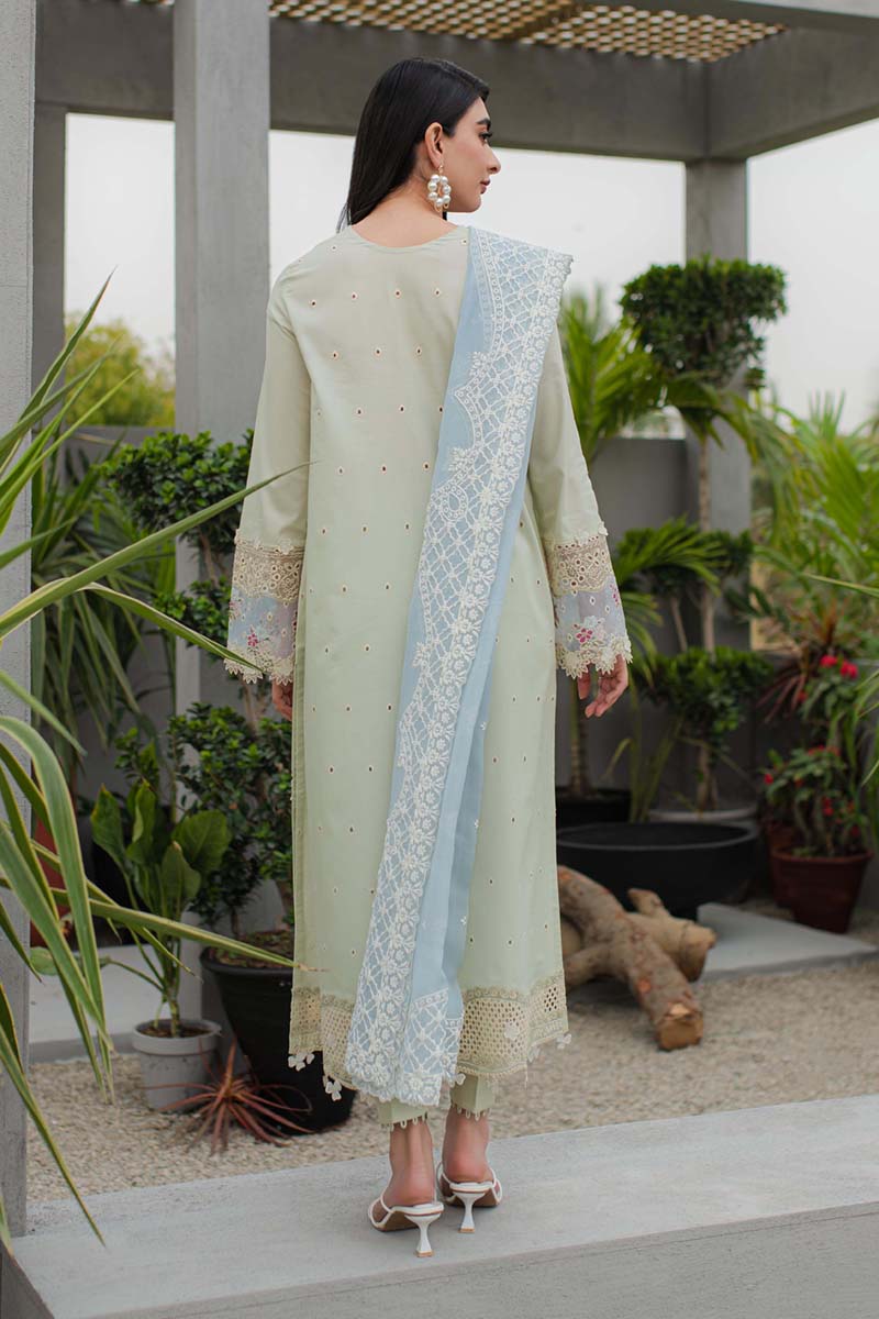 Qalamkar - Qline - Linen - 0017 - QALAMKAR