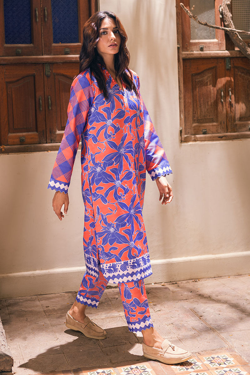 NORTHERN LIGHTS - MUSHQ