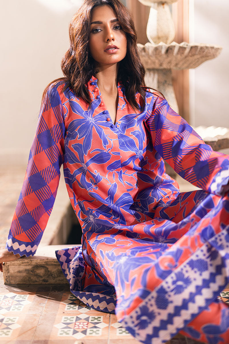 NORTHERN LIGHTS - MUSHQ