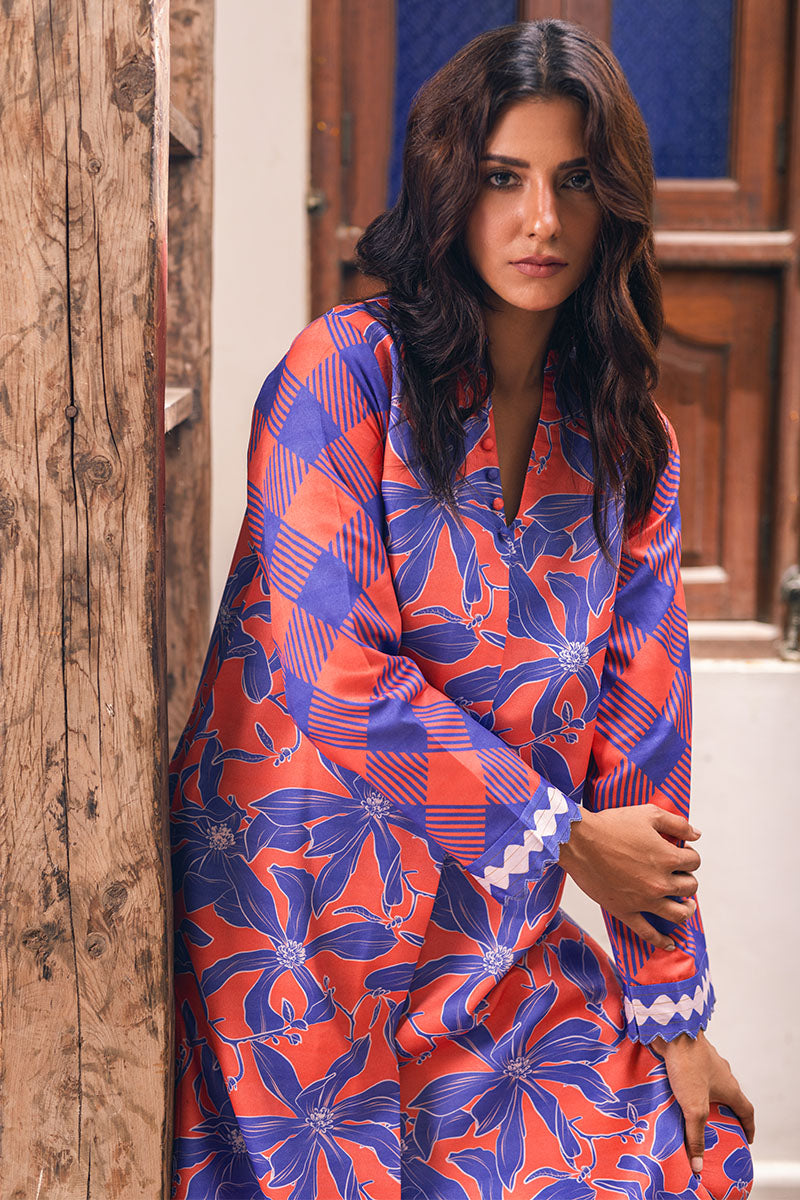 NORTHERN LIGHTS - MUSHQ