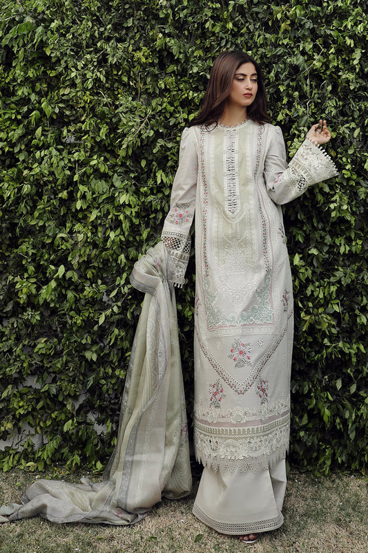 Lawn Collection - Qalamkar - Festive Lawn 24 - PS#11 - RINNAH